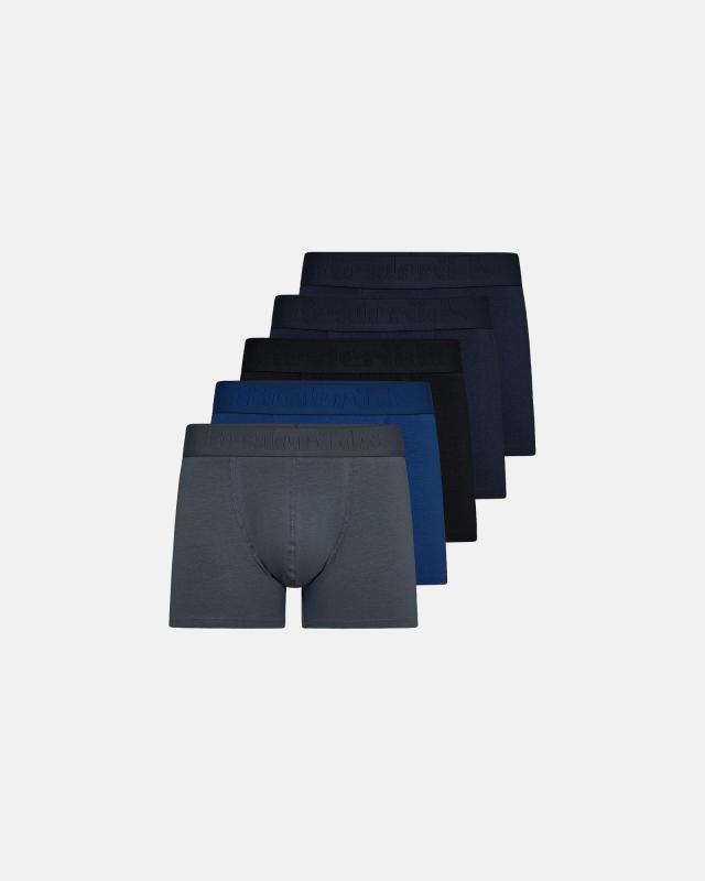 Kalsonger "Gunnar" 5-pack, Ekologisk bomull, Blå/grå