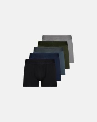 Kalsonger "Gunnar" 5-pack, Bambuviskos, Flerfärgad Kalsonger "Gunnar" 5-pack, Bambuviskos, Flerfärgad
